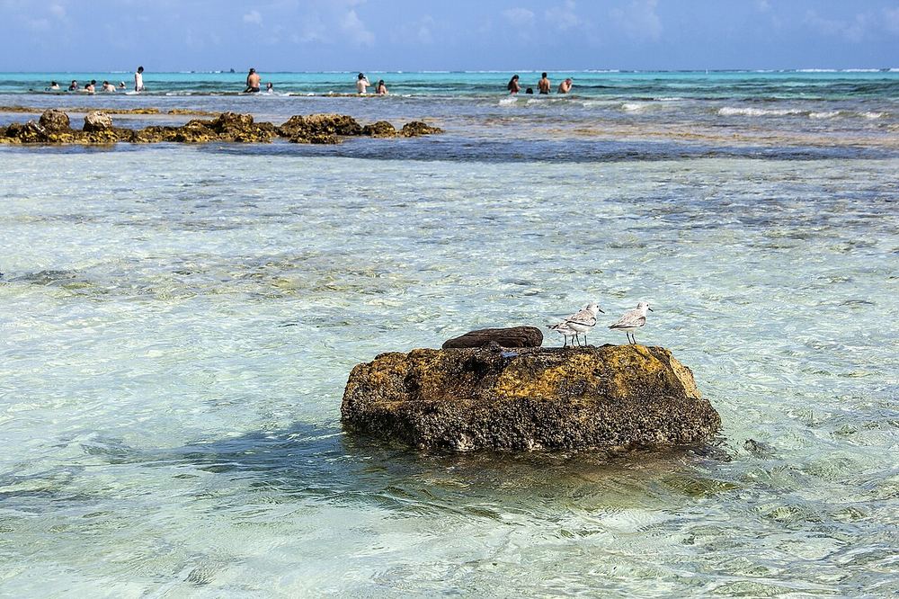 Acuario & Haynes Cay, San Andrés
