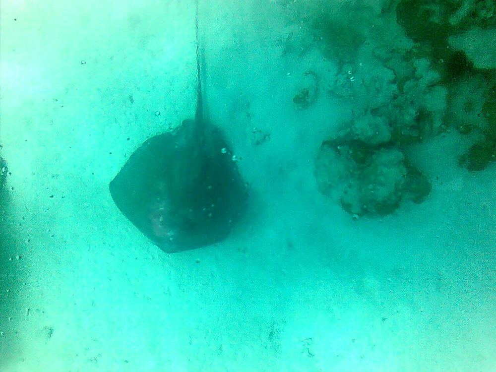 Tour Mundo Marino, San Andrés