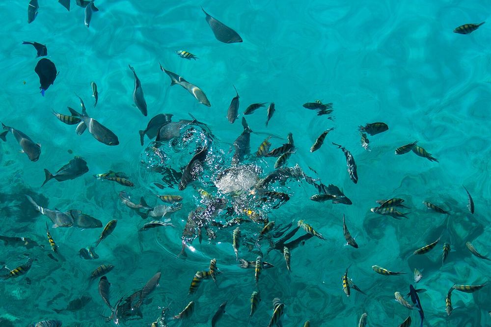 Snorkel na Pirámide, San Andrés